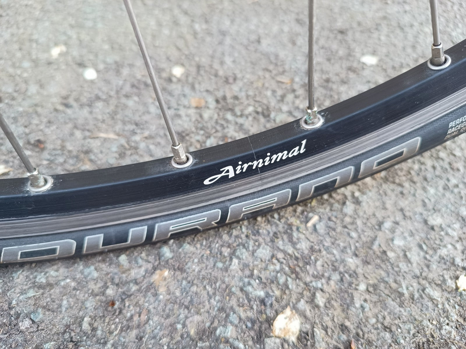 Airnimal Chameleon folding bike Shimano Ultegra