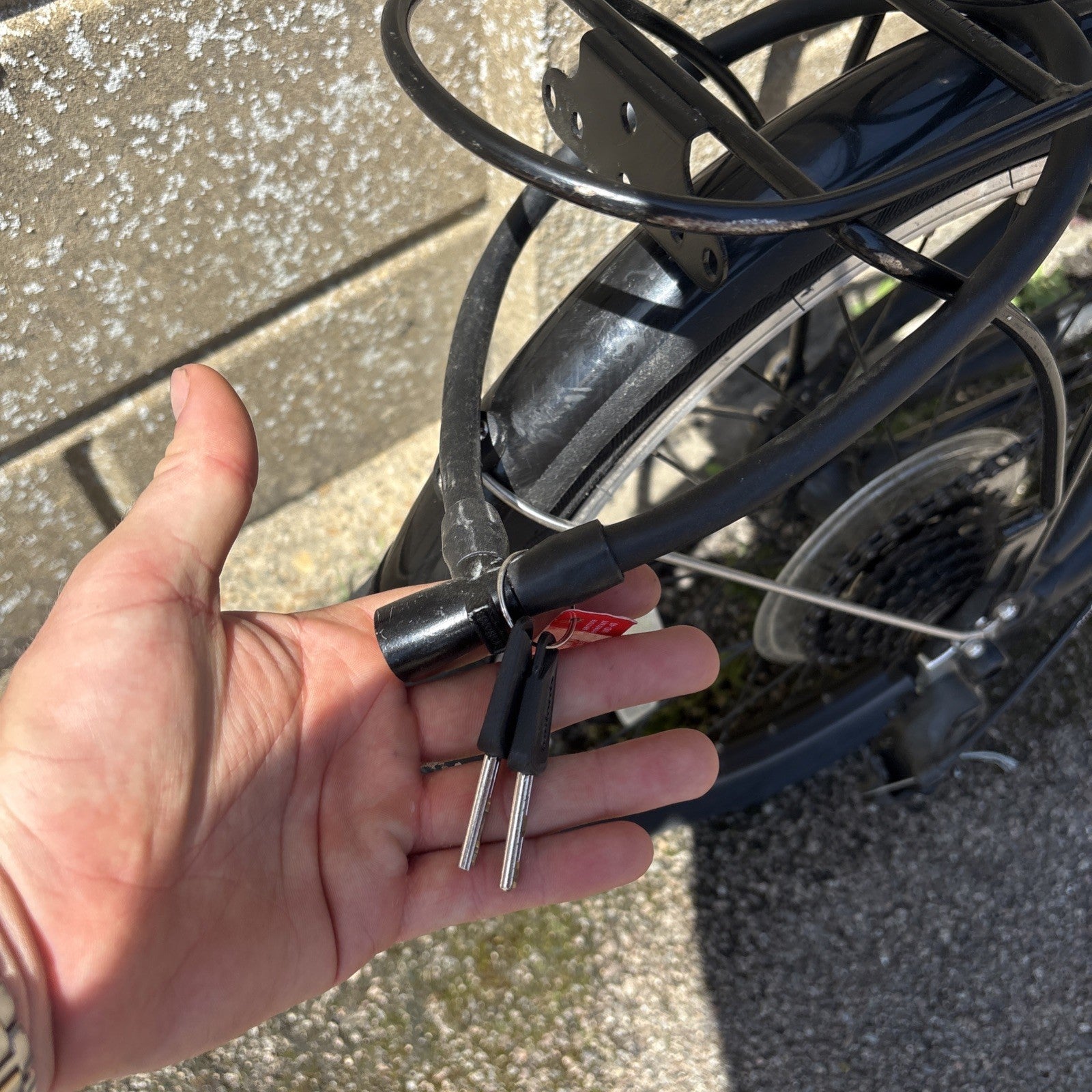 Dahon Hit 6-Speed Folding Bike Matt Black, Lightweight