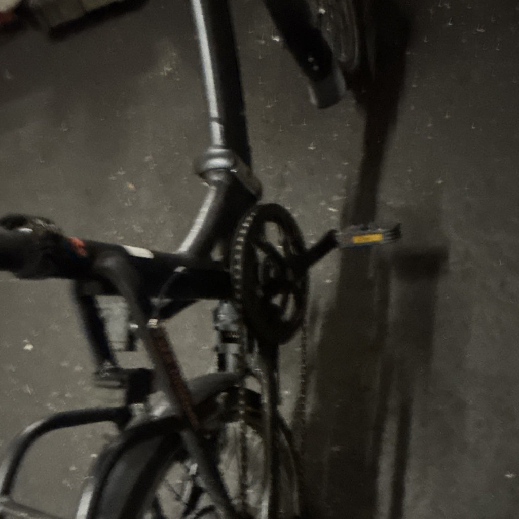 Raleigh Folding Bike Black 20 in Wheels M Frame V-Brakes Flat Bar Adj Seat