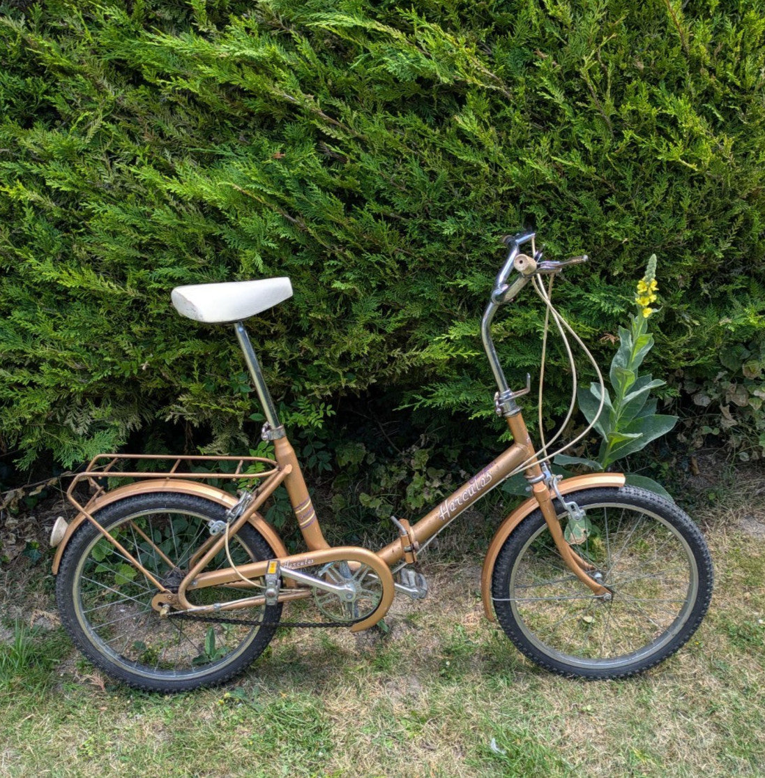 Folding bicycle for adult. Used.