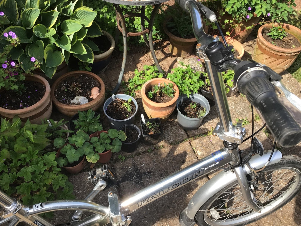 ADLUTS FALCON FOLDING BIKE