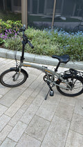 Raleigh Folding Bike