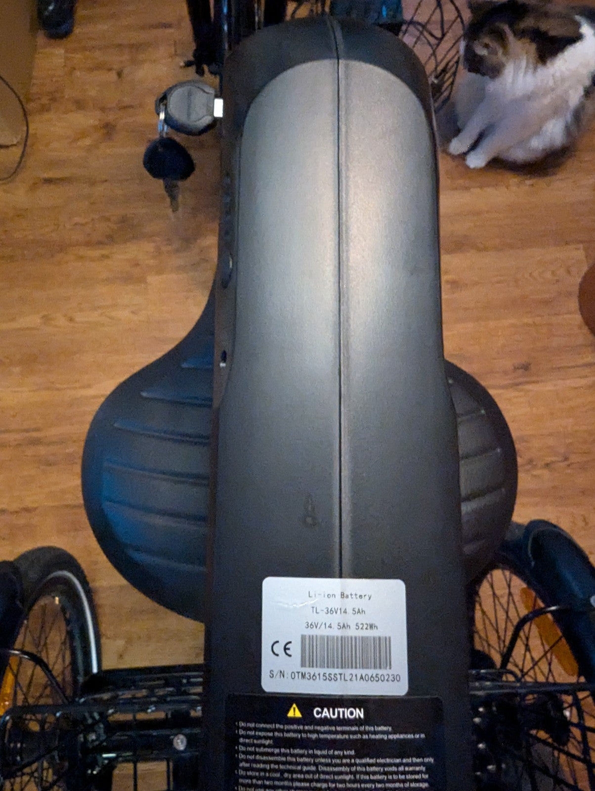 Jorvik Elite Jet E-20 Folding Trike with 20-inch Wheels