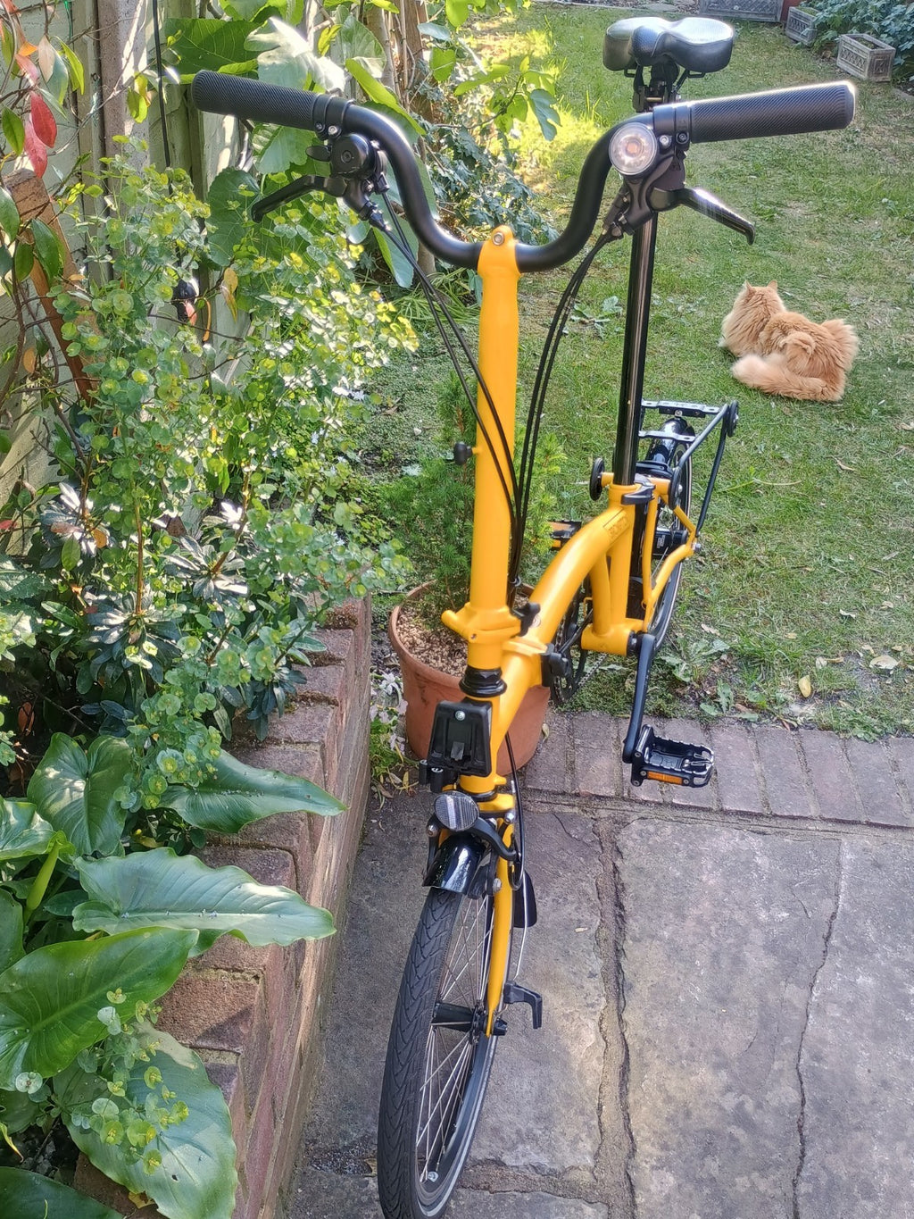 Brompton C Line 12-Speed In Bumblebee Yellow with Accessories and box 2025