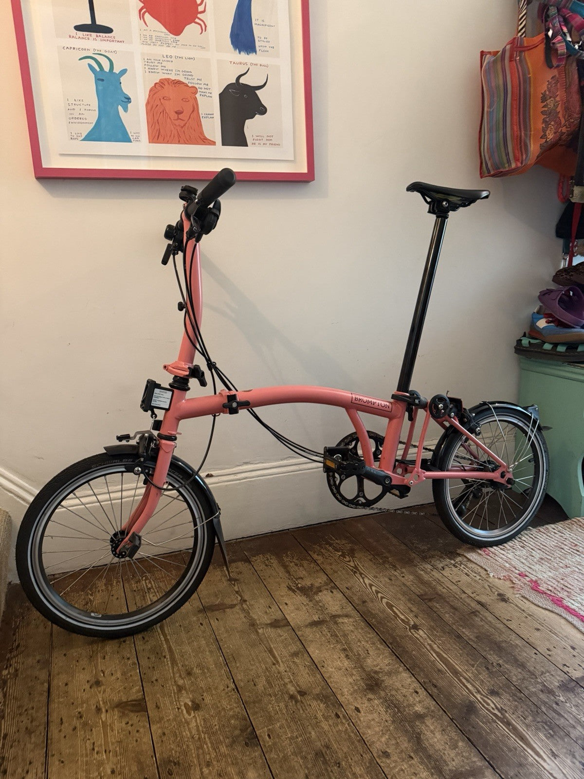 Brompton C line 12 speed 2025  Flamingo Pink
