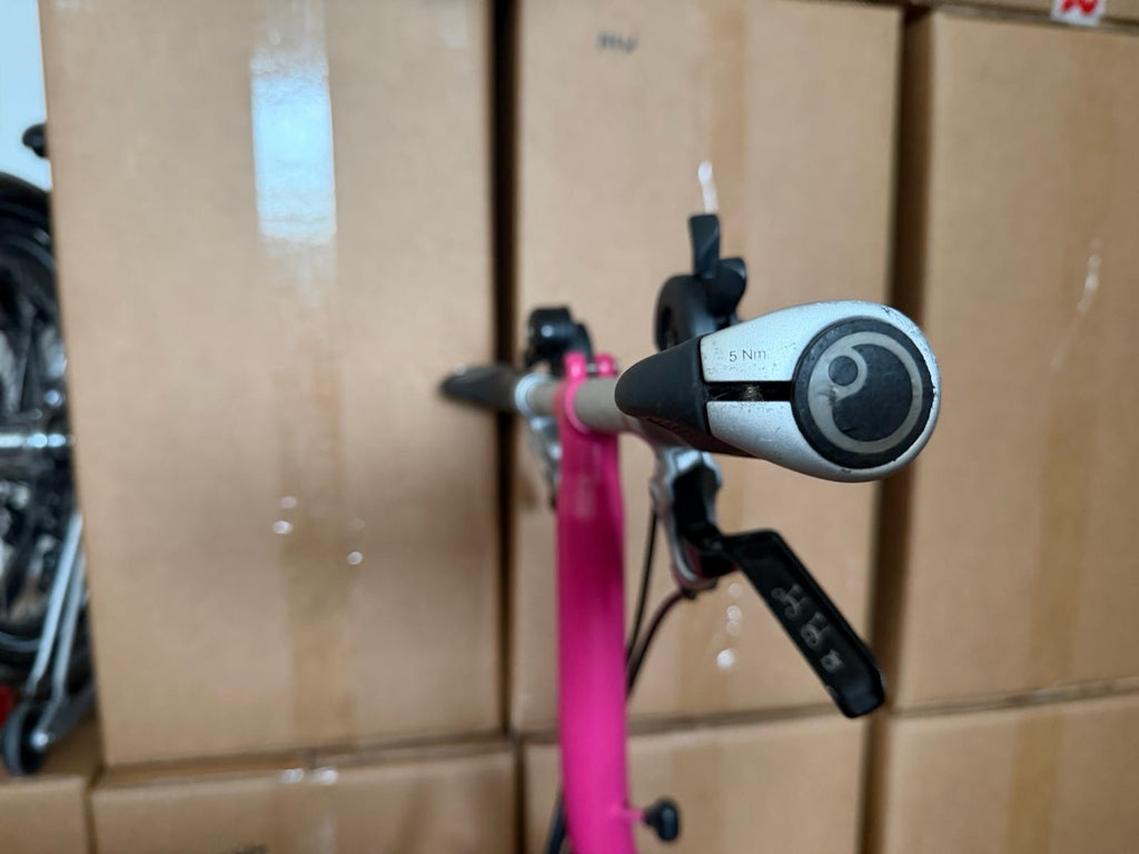 Brompton S6L folding bicycle Pink