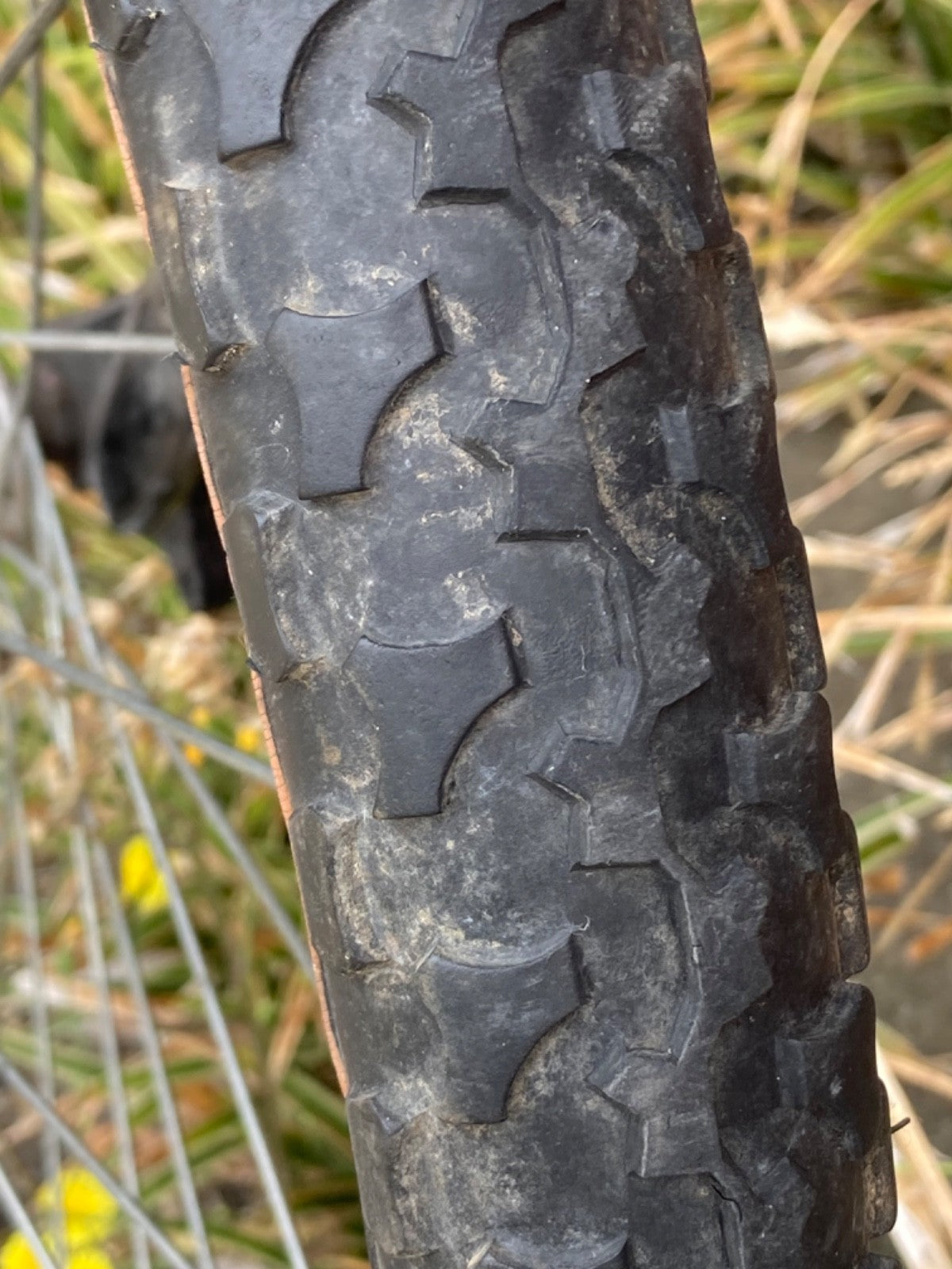 Dahon Matrix Joe Murray folding mountain bike
