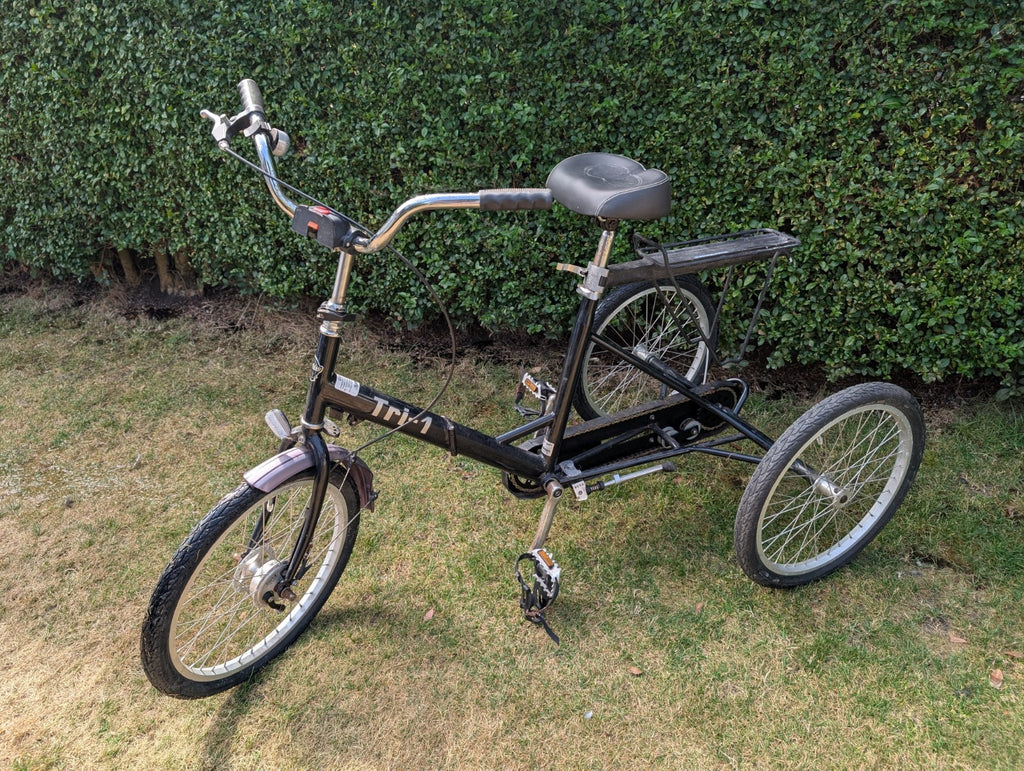 Paisley Adult Folding Fixed Wheel Trike Bike