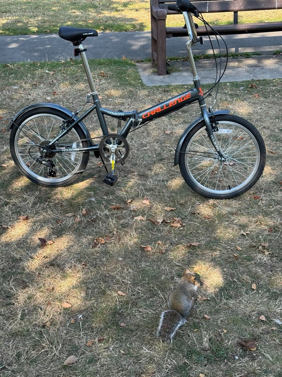 Challenge Holborn Folding Bike – Lightweight, Compact, and Perfect for Riding!