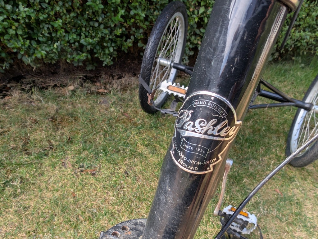 Paisley Adult Folding Fixed Wheel Trike Bike