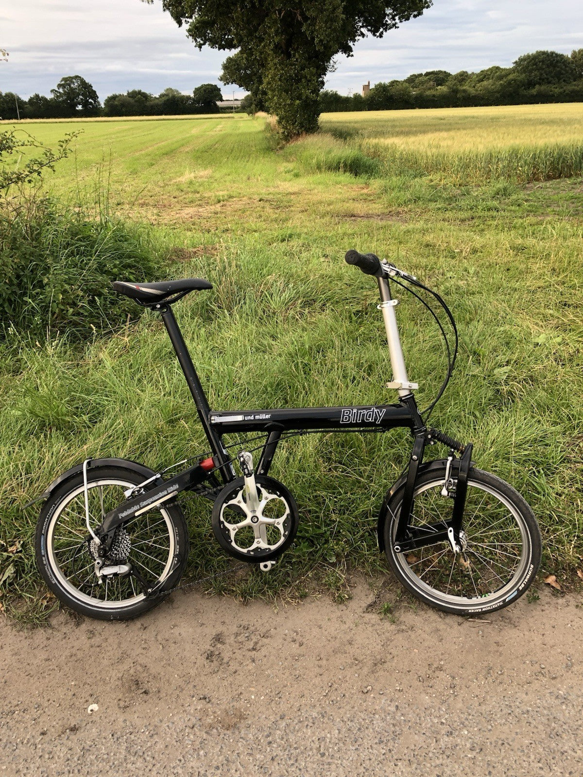 Birdy folding bike.