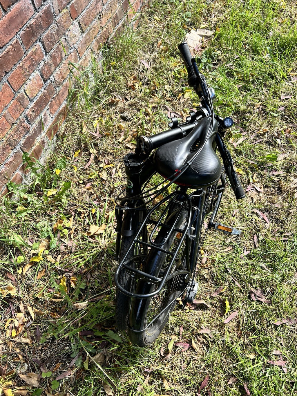 Ecosmo Folding Bike 20-inch Wheels