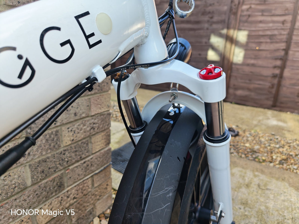 Hygge Vester Foldable Bike Heron White