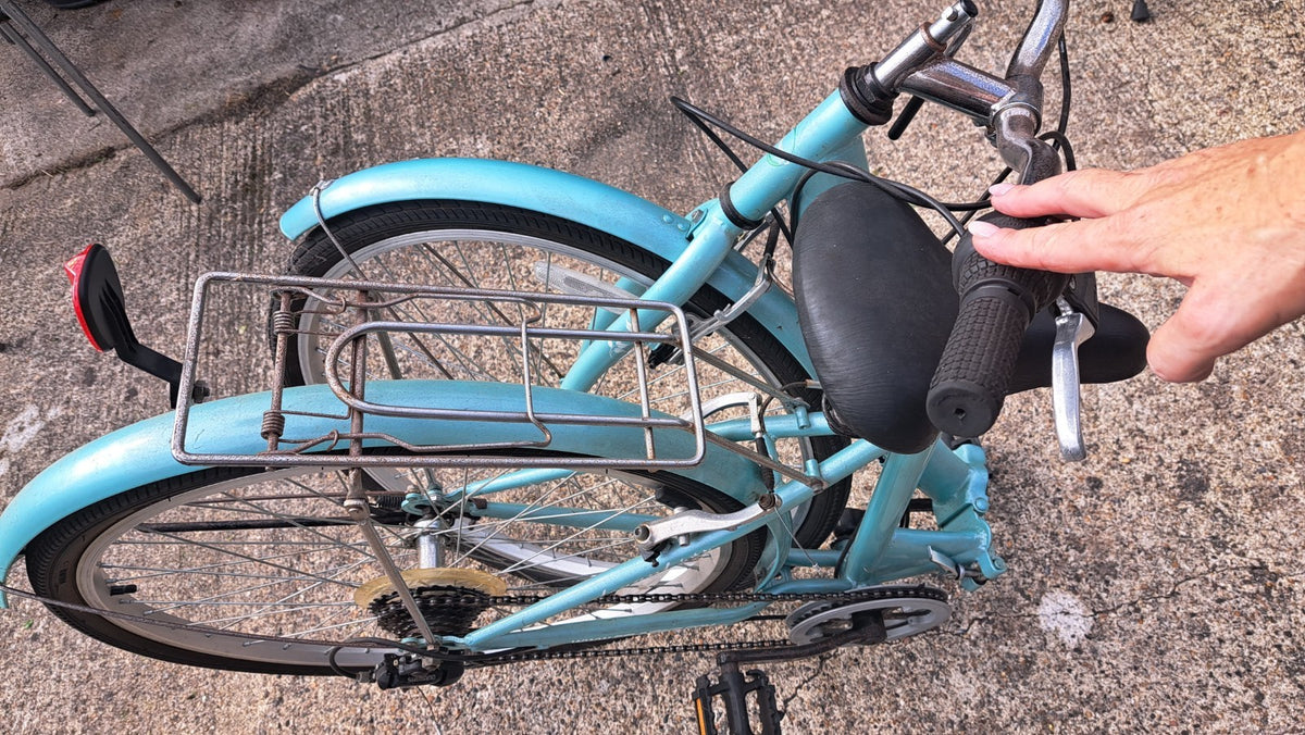 Ecosmo Womens Folding Bicycle