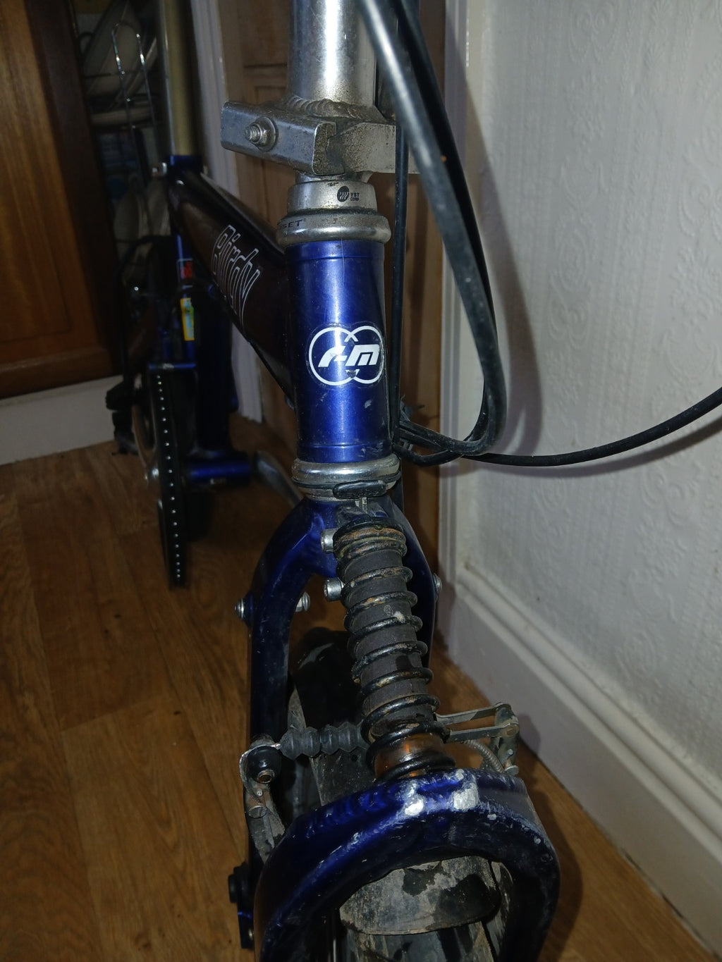 Reise & Muller Birdy Blue Folding Bike