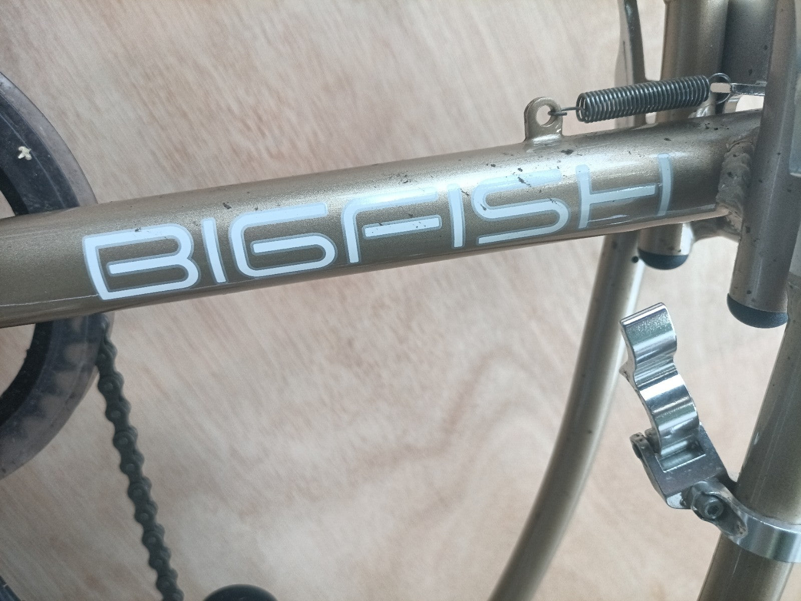 Computer Bike Carnielli Bigfish folding bike