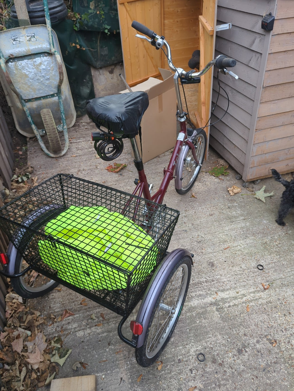 Pashley Tri-1 Folding Trike Burgundy Red