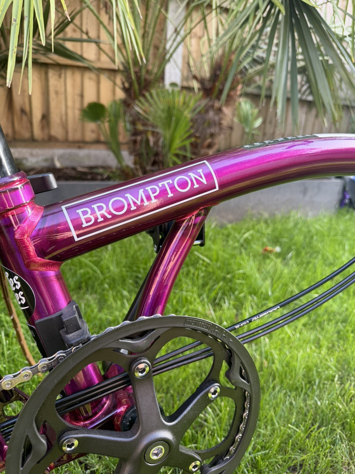 Brompton bike C-line 12-speed 2025 mid bar Amethyst Lacquer