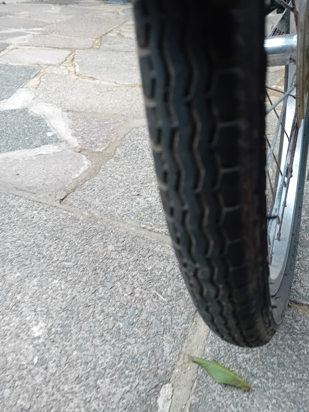 Raleigh Swift Folding Bike