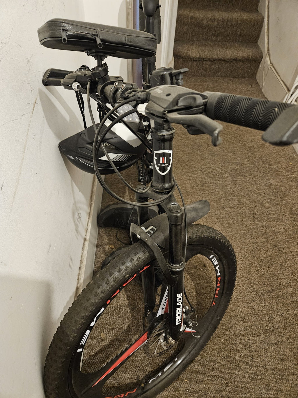 Tanmei Foldable Mountain Bike