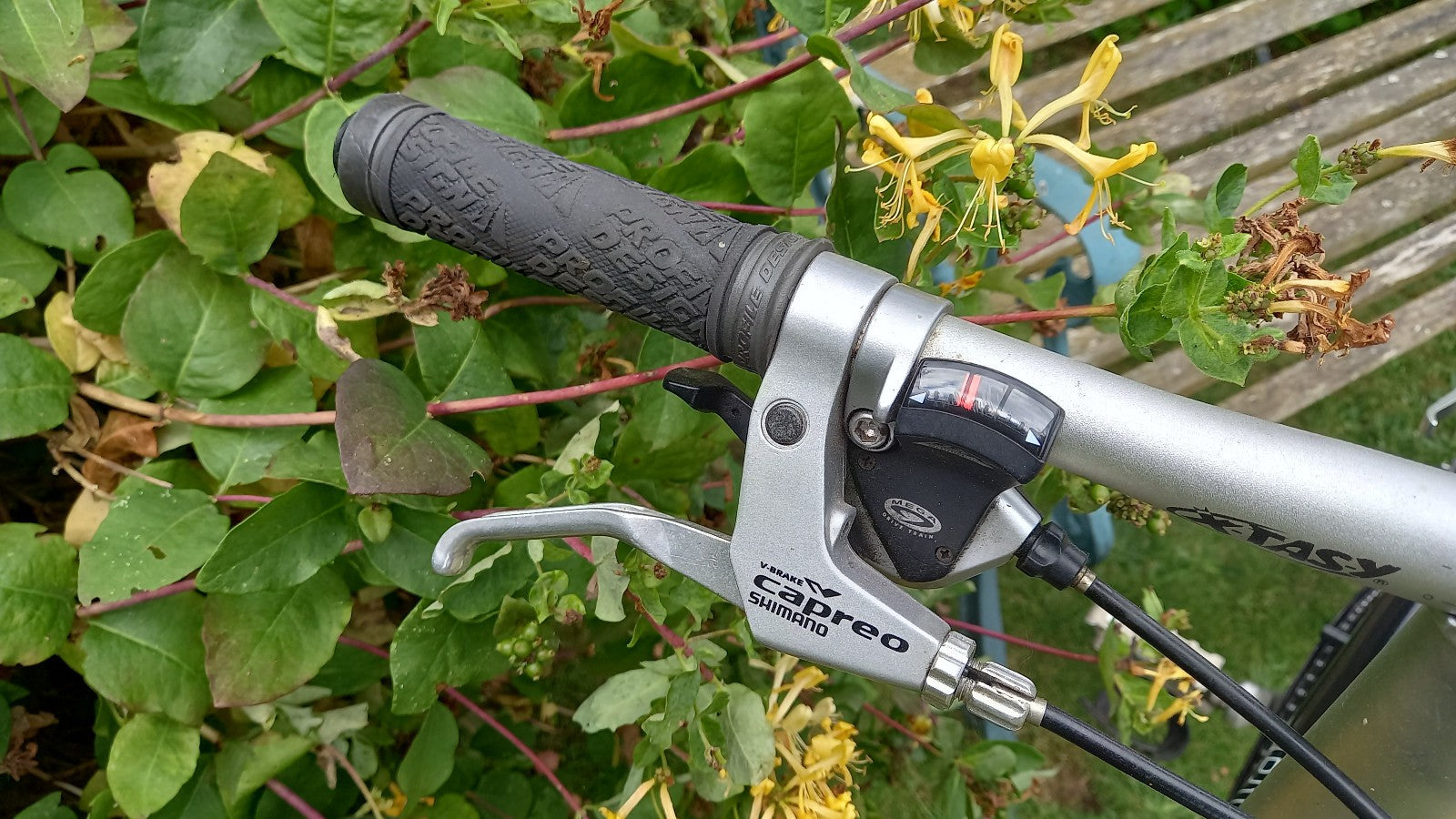 Riese Und Muller Birdy folding bike in good used condition and recent service