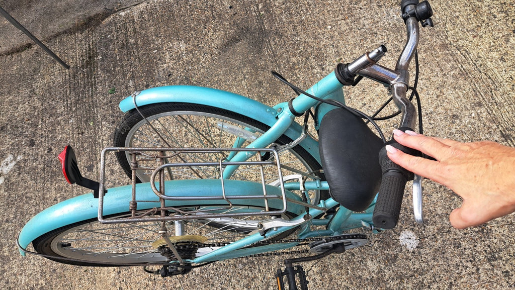 Ecosmo Womens Folding Bicycle