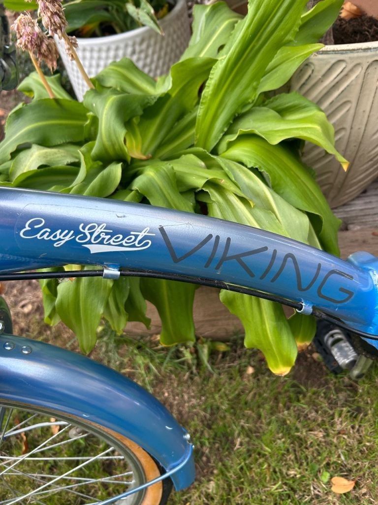 Viking easy street folding bike