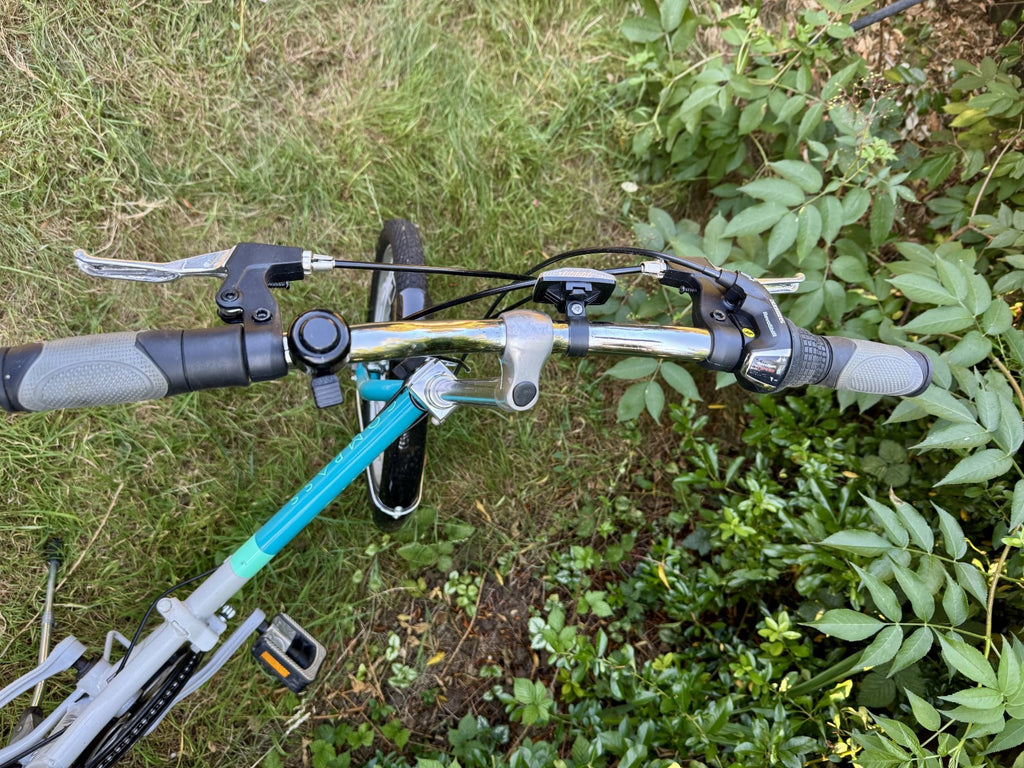 Northern folding bicycle 20