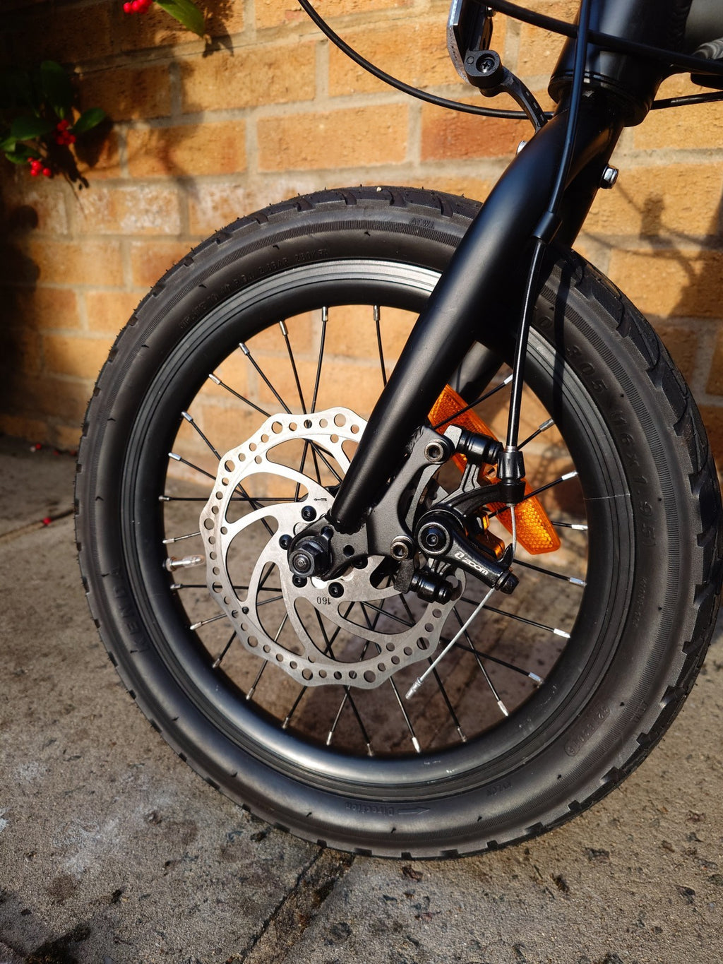 Ecosmo 16" Wheel Lightweight Alloy Folding Bicycle Bike 6 SP,Dual Disc-16AF02BLR