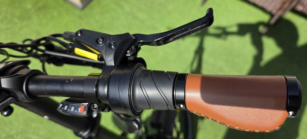 PVY Z20 Max Folding Bike