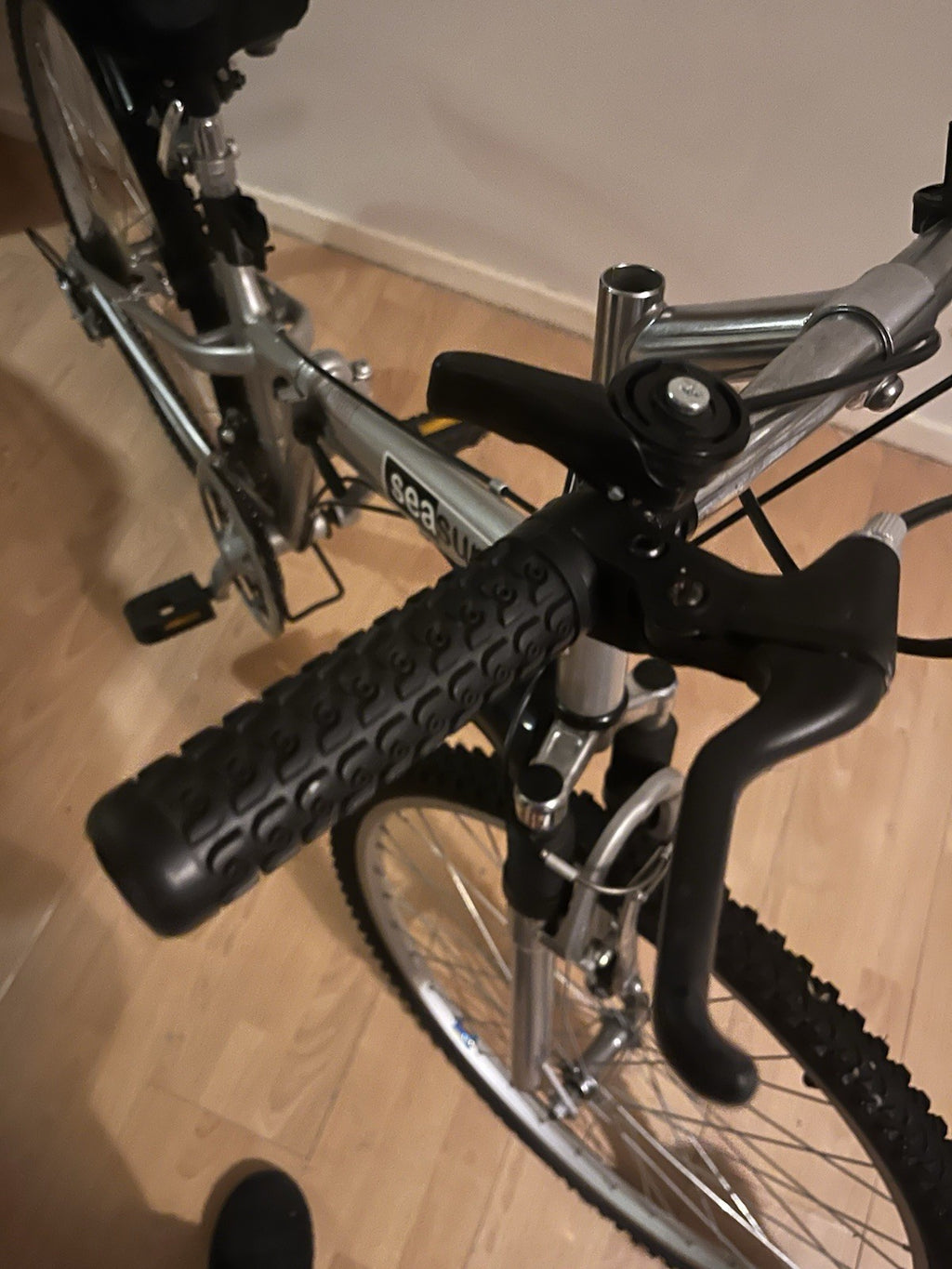 Seasure full size folding bike
