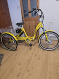 Electric Tricycle Scout folding