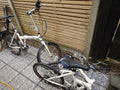 Two Python Speed 2 Fold Up Bicycles