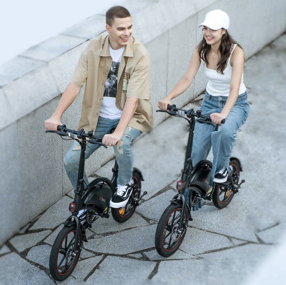DYU D3F 14" Folding Bike 250W 36V 10Ah Bike E-City Bike 25km/50km