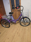 Jorvik Folding Tricycle