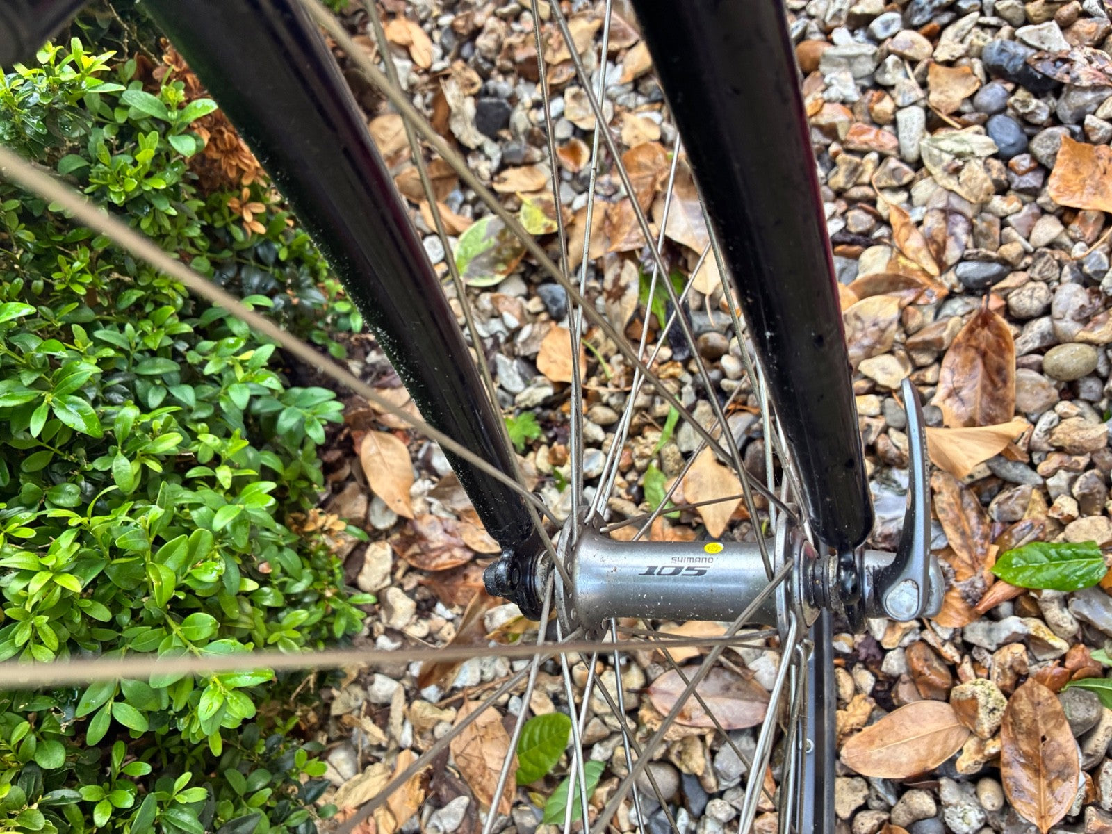 Airnimal Joey Folding and very fast commuting bike Bike