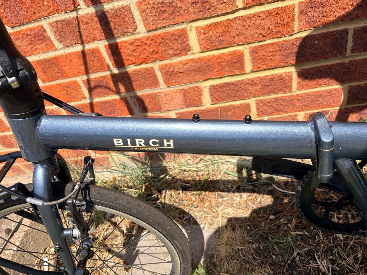 BIRCH 20 Inch Folding Bike Adult