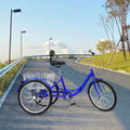 24'' Tricycle Adult Senior 7 Speed 3 Wheels Bike Foldable Trike Bicycle + Basket
