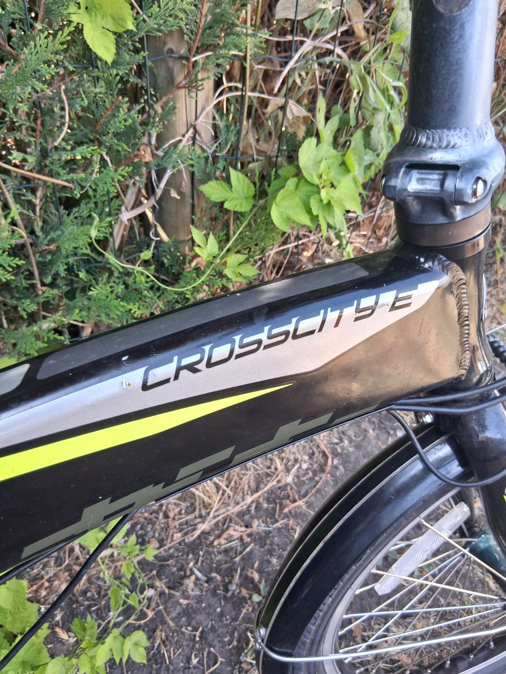 Carrera Crosscity E Folding Bike