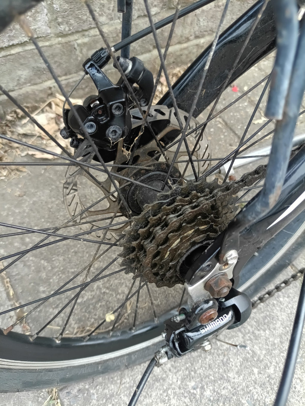 Carrello Folding Bicycle - great workhorse for commuting and adventures