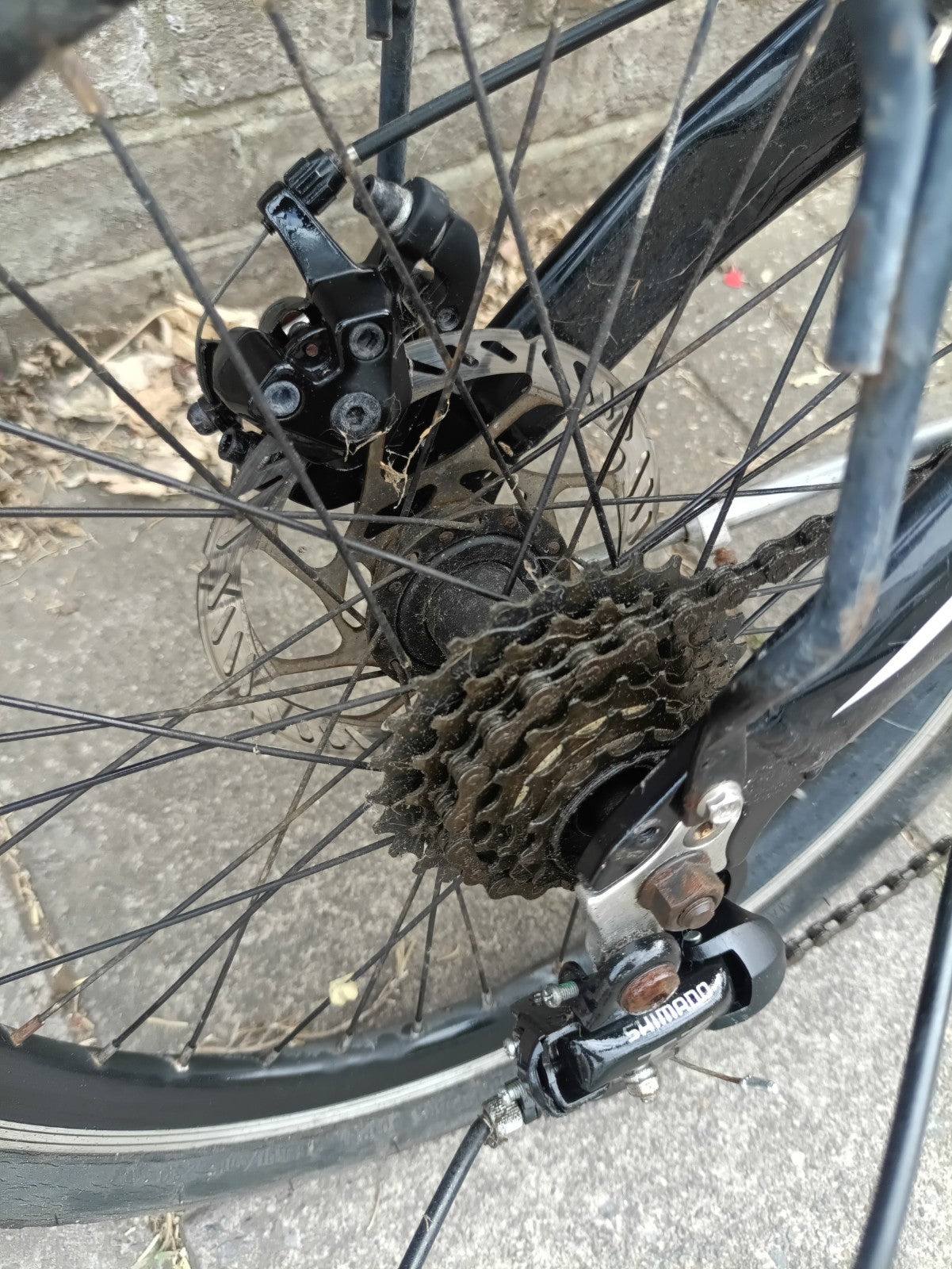 Carrello Folding Bicycle - great workhorse for commuting and adventures