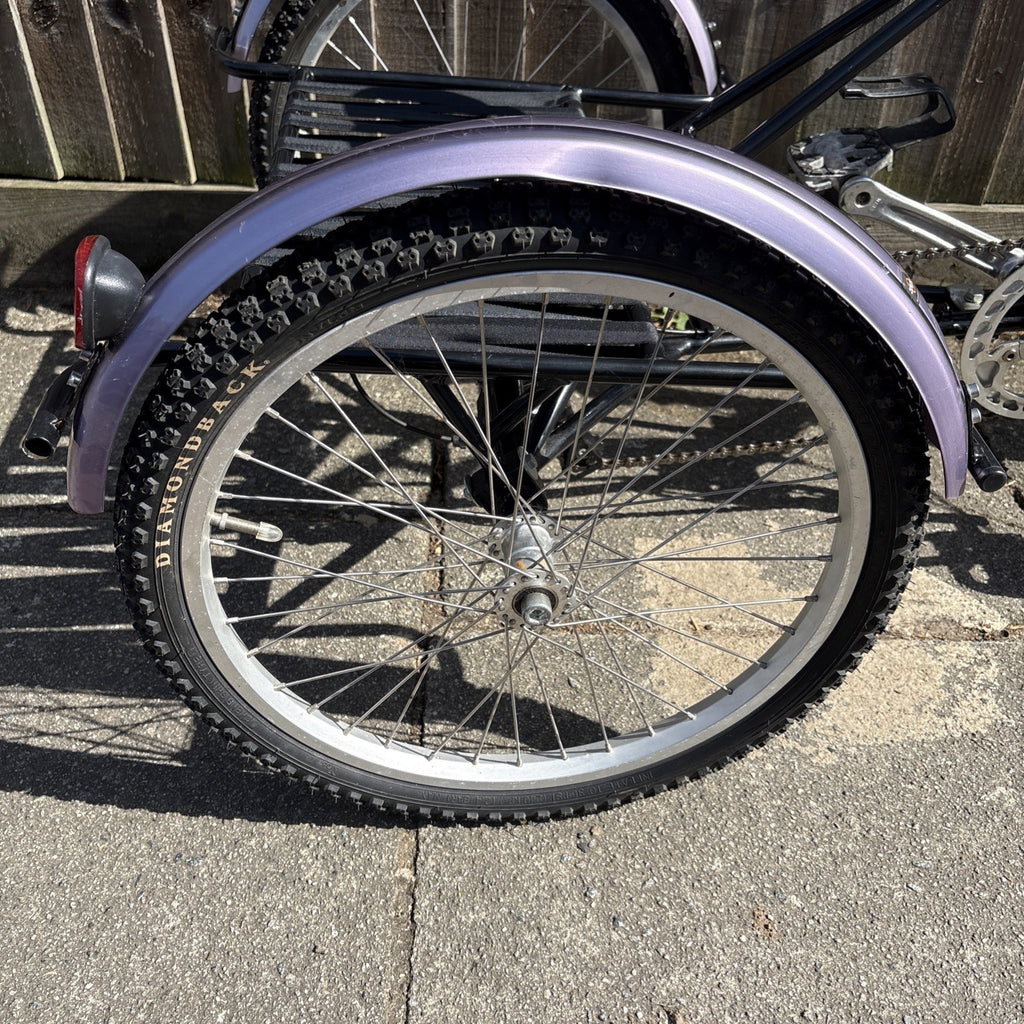 Pashley Tri-1 Adult Foldable Tricycle Trike - Gears Not Working