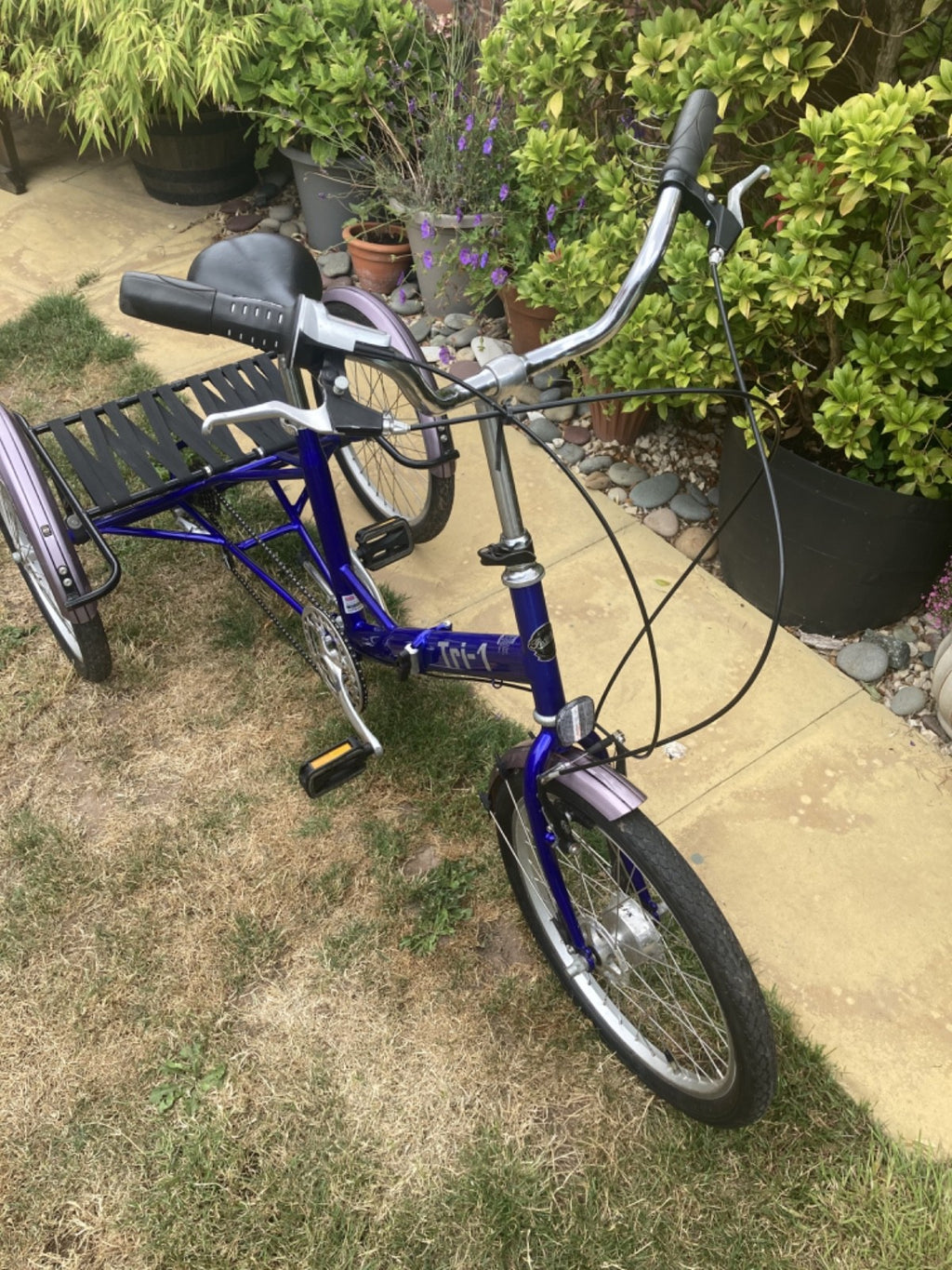PASHLEY - Tri-1 Folding Adult Trike Blue