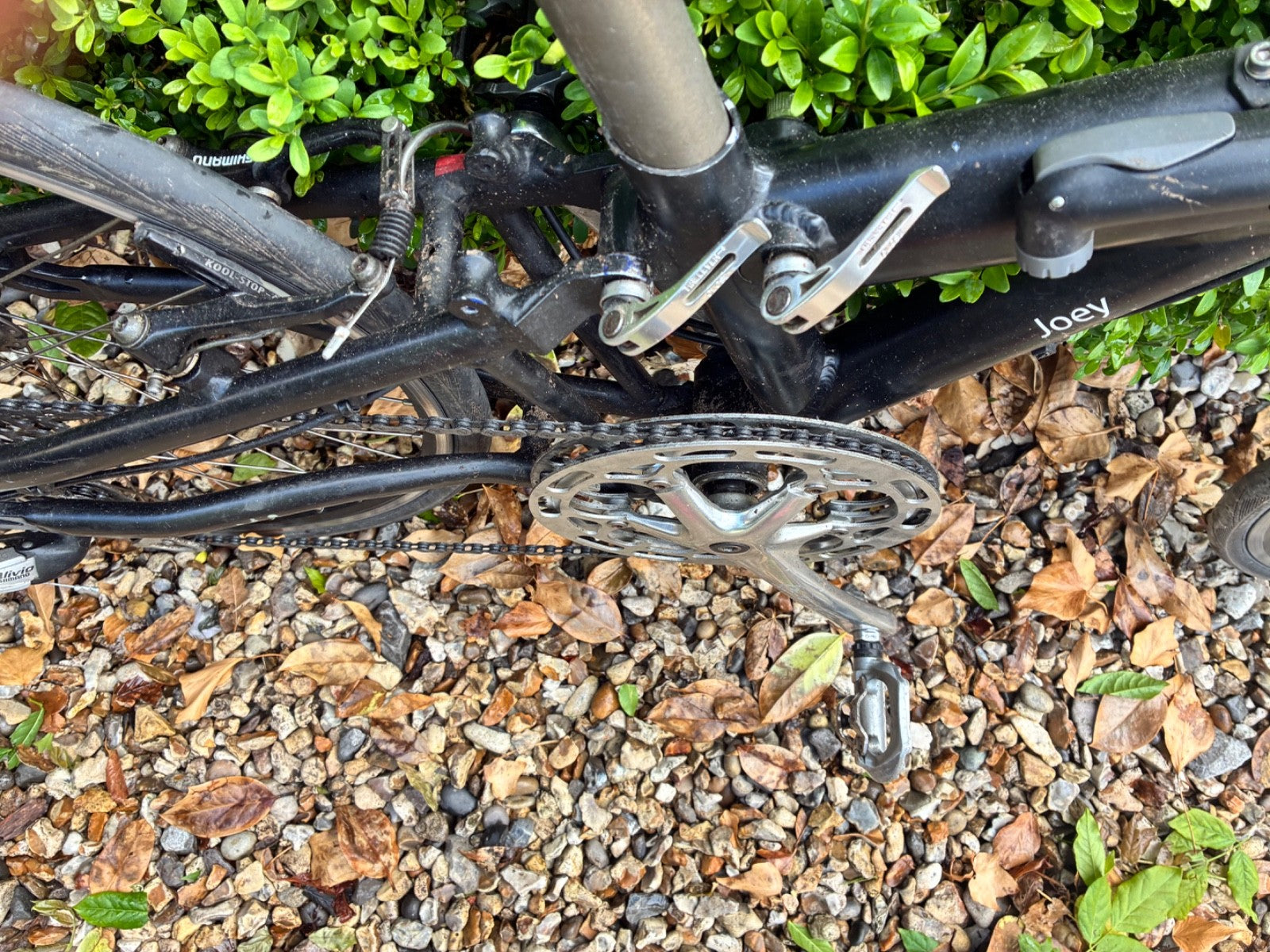 Airnimal Joey Folding and very fast commuting bike Bike