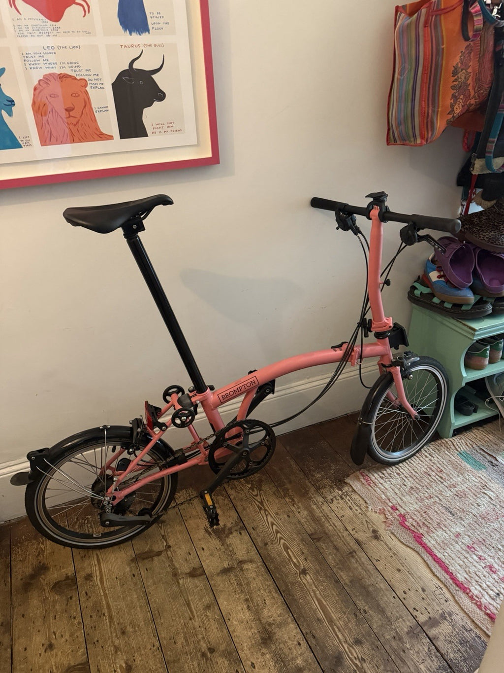 Brompton C line 12 speed 2025  Flamingo Pink