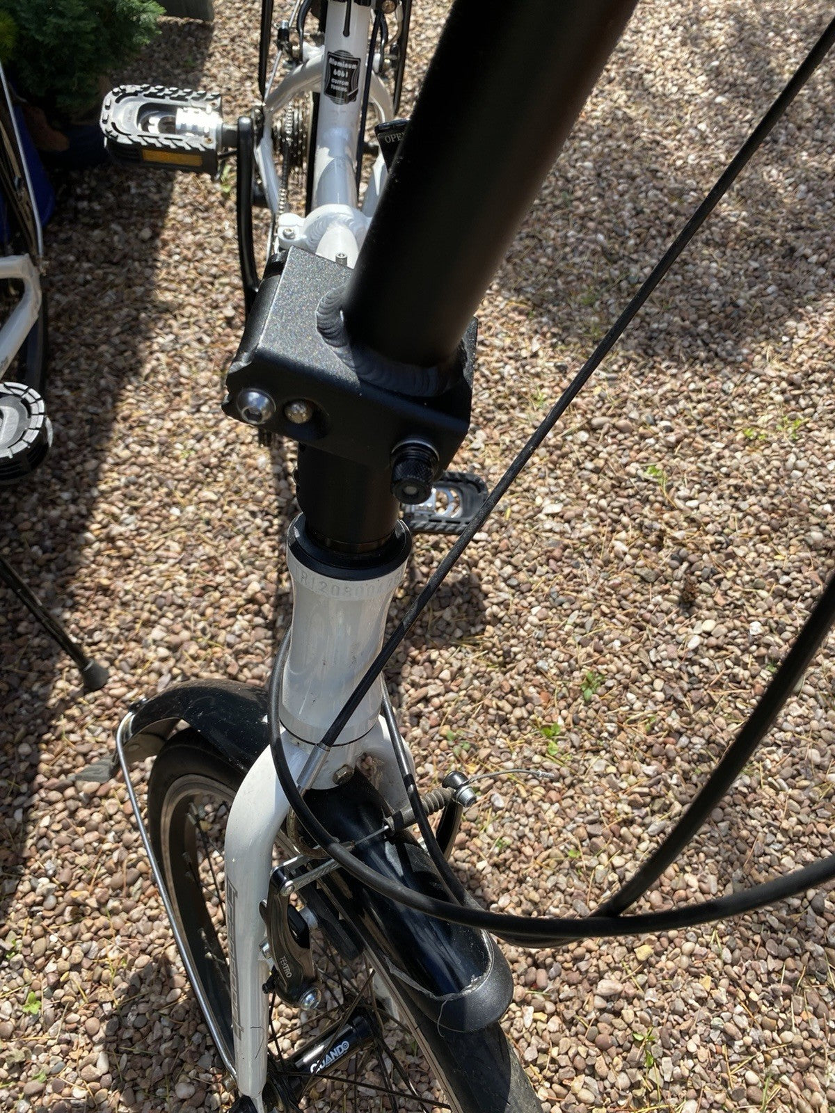 Two Folding Bikes 20" Wheels . Carerra.