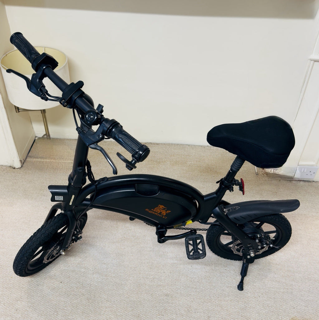 Kugoo Kirin V1 bike, also known as the B2 model. Dolphin-shaped frame.