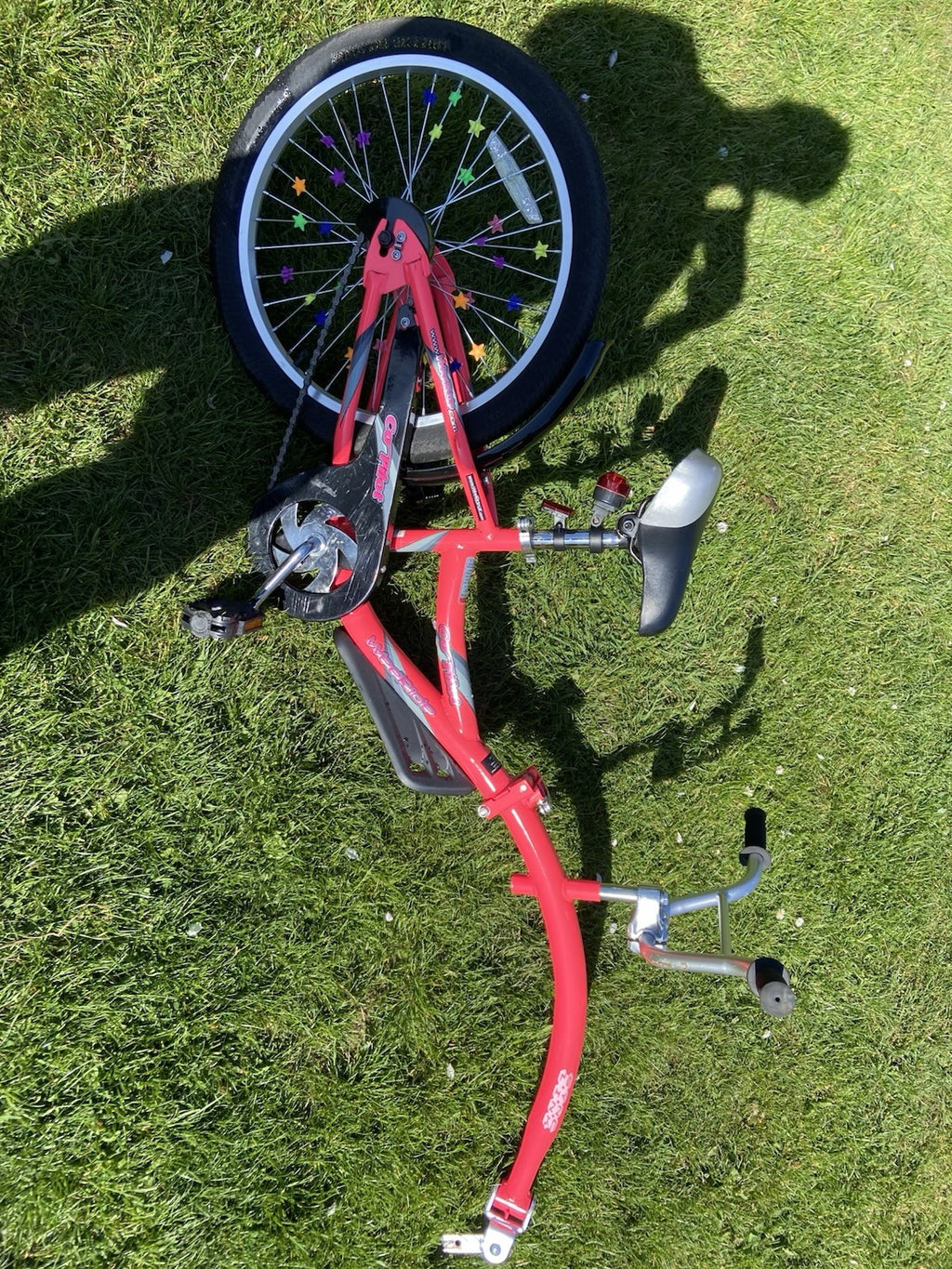 WeeRide Co Pilot Tagalong Bike