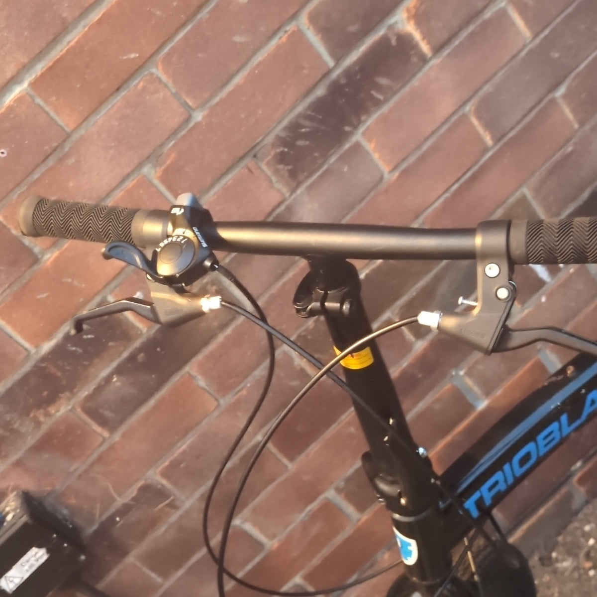 TRIOBLADE 20in Folding Bike Black/Blue 6-Speed Mechanical Disc Brake, Stand