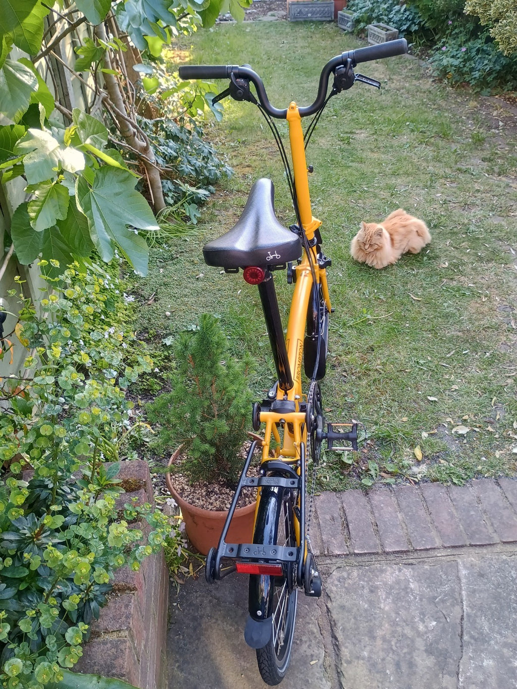 Brompton C Line 12-Speed In Bumblebee Yellow with Accessories and box 2025